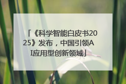 《科学智能白皮书2025》发布，中国引领AI应用型创新领域