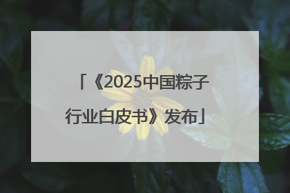 《2025中国粽子行业白皮书》发布