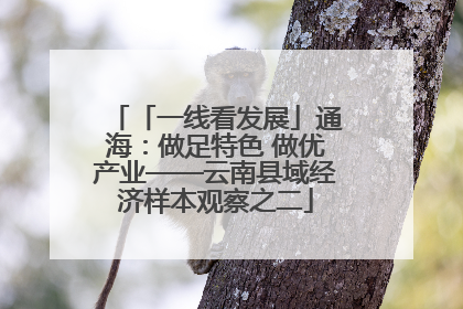 「一线看发展」通海：做足特色 做优产业——云南县域经济样本观察之二