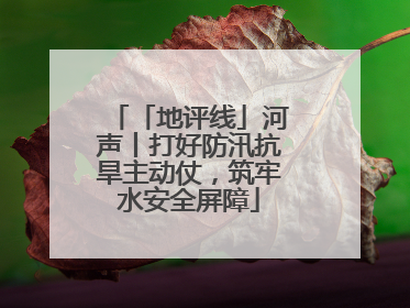 「地评线」河声丨打好防汛抗旱主动仗，筑牢水安全屏障