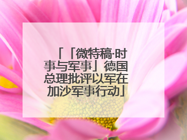 「微特稿·时事与军事」德国总理批评以军在加沙军事行动