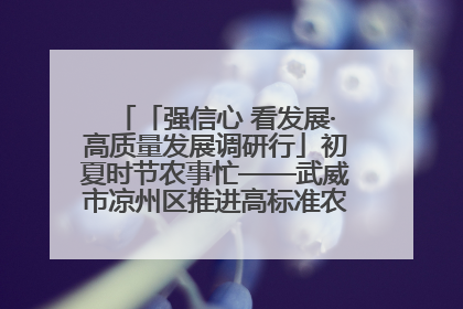 「强信心 看发展·高质量发展调研行」初夏时节农事忙——武威市凉州区推进高标准农田建设见闻