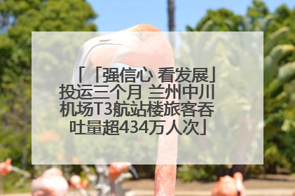 「强信心 看发展」投运三个月 兰州中川机场T3航站楼旅客吞吐量超434万人次