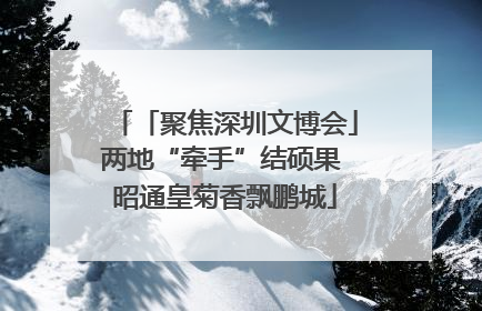 「聚焦深圳文博会」两地“牵手”结硕果 昭通皇菊香飘鹏城
