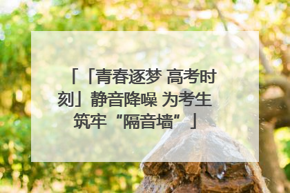「青春逐梦 高考时刻」静音降噪 为考生筑牢“隔音墙”