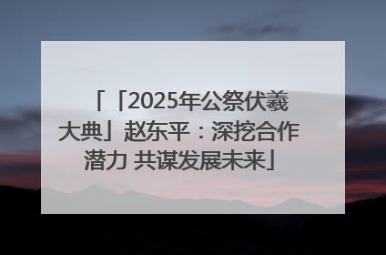 「2025年公祭伏羲大典」赵东平：深挖合作潜力 共谋发展未来