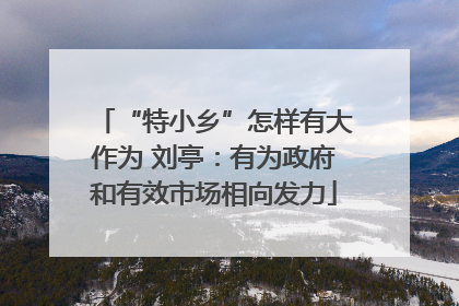 “特小乡”怎样有大作为 刘亭：有为政府和有效市场相向发力