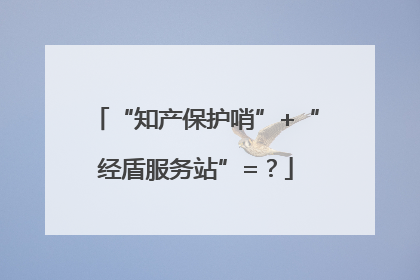 “知产保护哨”+“经盾服务站”=？