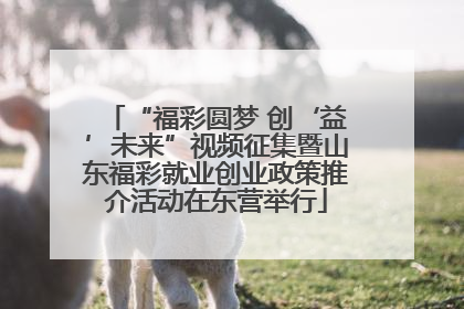 “福彩圆梦 创‘益’未来”视频征集暨山东福彩就业创业政策推介活动在东营举行