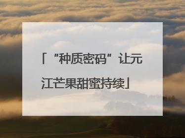 “种质密码”让元江芒果甜蜜持续