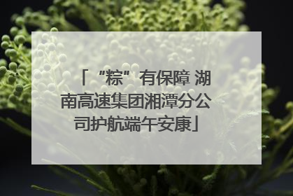 “粽”有保障 湖南高速集团湘潭分公司护航端午安康