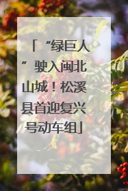 “绿巨人”驶入闽北山城！松溪县首迎复兴号动车组