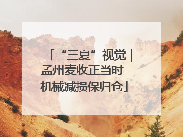 “三夏”视觉｜孟州麦收正当时 机械减损保归仓