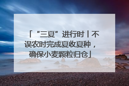“三夏”进行时丨不误农时完成夏收夏种，确保小麦颗粒归仓