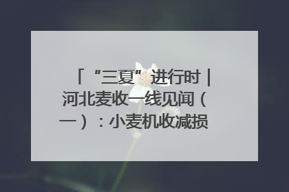 “三夏”进行时｜河北麦收一线见闻（一）：小麦机收减损“竞技” 农机高手麦田“过招”