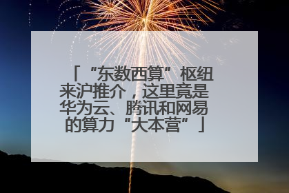 “东数西算”枢纽来沪推介，这里竟是华为云、腾讯和网易的算力“大本营”