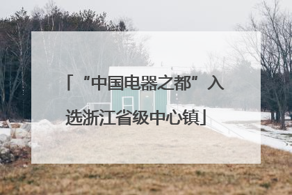 “中国电器之都”入选浙江省级中心镇