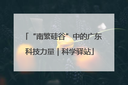 “南繁硅谷”中的广东科技力量｜科学驿站