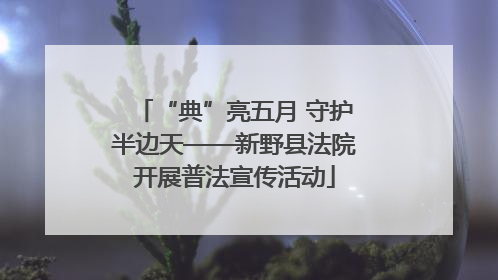 “典”亮五月 守护半边天——新野县法院开展普法宣传活动