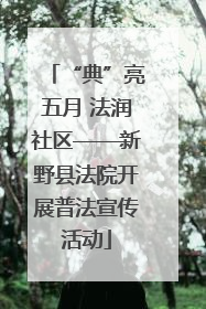 “典”亮五月 法润社区——新野县法院开展普法宣传活动
