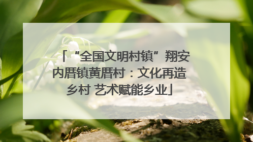 “全国文明村镇”翔安内厝镇黄厝村：文化再造乡村 艺术赋能乡业