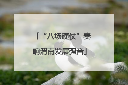 “八场硬仗”奏响渭南发展强音