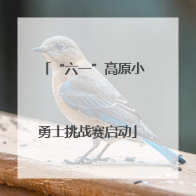 “六一”高原小勇士挑战赛启动