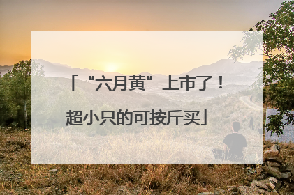 “六月黄”上市了！超小只的可按斤买