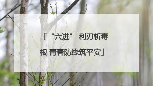 “六进” 利刃斩毒根 青春防线筑平安