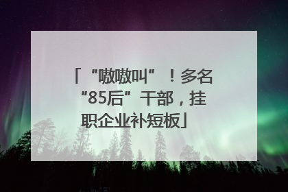 “嗷嗷叫”！多名“85后”干部，挂职企业补短板