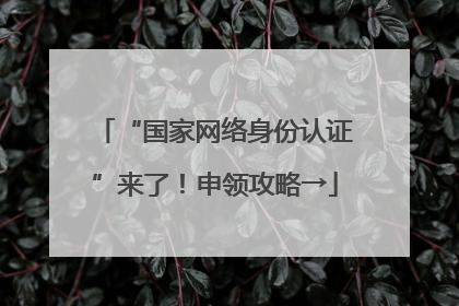 “国家网络身份认证”来了！申领攻略→