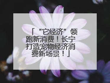 “它经济”领跑新消费！长宁打造宠物经济消费新场景！