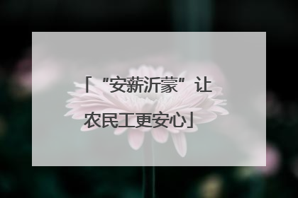 “安薪沂蒙”让农民工更安心