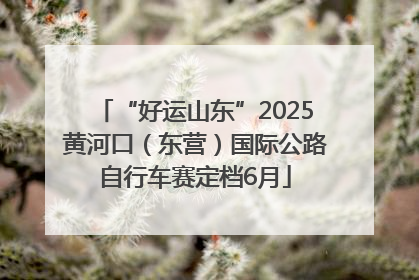 “好运山东”2025黄河口（东营）国际公路自行车赛定档6月