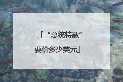 “总统特赦”要价多少美元