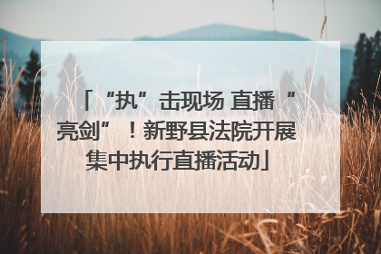 “执”击现场 直播“亮剑”！新野县法院开展集中执行直播活动