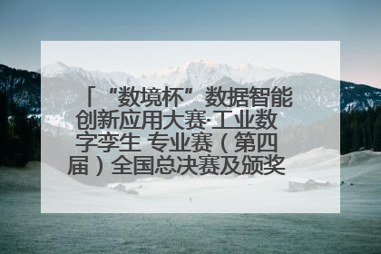 “数境杯”数据智能创新应用大赛·工业数字孪生 专业赛（第四届）全国总决赛及颁奖典礼成功举办