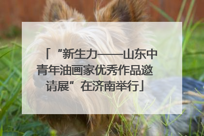 “新生力——山东中青年油画家优秀作品邀请展”在济南举行