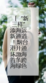 “新三样”添海运新通道!烟台港开通环渤海首条跨海绿色专线