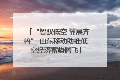 “智驭低空 翼展齐鲁” 山东移动助推低空经济蓄势腾飞