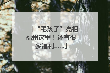 “毛孩子”亮相福州这里！还有很多福利……