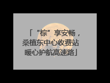 “棕”享安畅，桑植东中心收费站暖心护航高速路