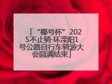 “椰号杯”2025不止骑·环溧阳1号公路自行车骑游大会圆满结束
