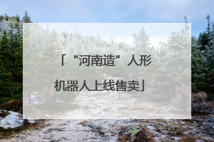 “河南造”人形机器人上线售卖