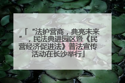 “法护营商，典亮未来”，民法典进园区暨《民营经济促进法》普法宣传活动在长沙举行