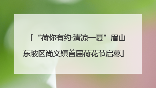 “荷你有约·清凉一夏”眉山东坡区尚义镇首届荷花节启幕