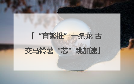“育繁推”一条龙 古交马铃薯“芯”跳加速