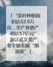 “茶叶种植面积达12.5万亩，全产业链产值达57亿元” 浙江武义茶产业全链发展“加速度”