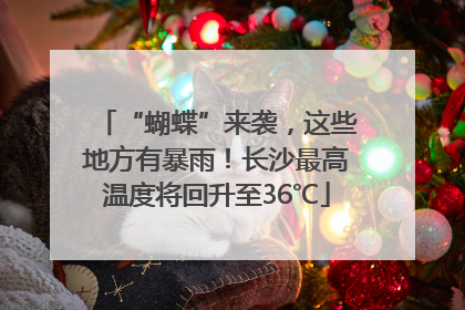 “蝴蝶”来袭，这些地方有暴雨！长沙最高温度将回升至36℃