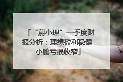 “蔚小理”一季度财报分析：理想盈利稳健 小鹏亏损收窄